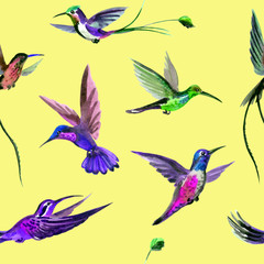 Obraz na płótnie Canvas Seamless watercolor pattern from multi-colored hummingbirds on a yellow background.