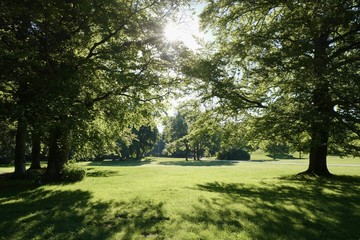 Fototapeta na wymiar Englischer Garten in München