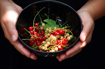Still life with red and white currants. Fruits in a black plate. A plate in the hands of a woman. Close-up. Selective focus, side view, copy space.