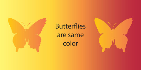 Optical illusion. Both butterflies are the same color