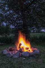 woods are burning in fireplace, warm, heat, fire. camping in nature in summer