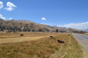 Travel to Peru