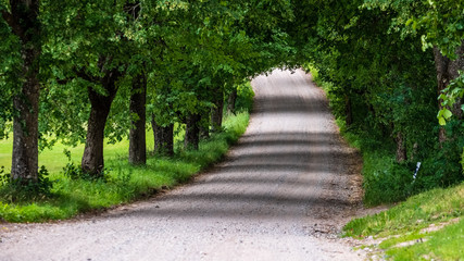 Obraz premium simple country road in summer