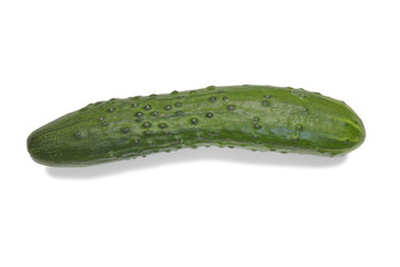 fresh, green cucumber close up isolated on a white background with a shadow