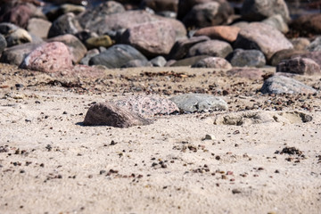 rocky sea beach with waves and sunny day