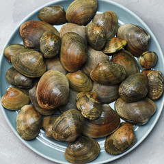 Fresh clams, seafood at the market. Background, selected focus, close up