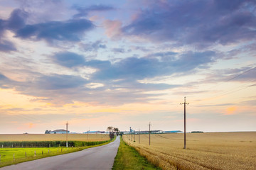Fototapeta na wymiar A road among agricultural land. Scenic sky with clouds in the field during the sunset_