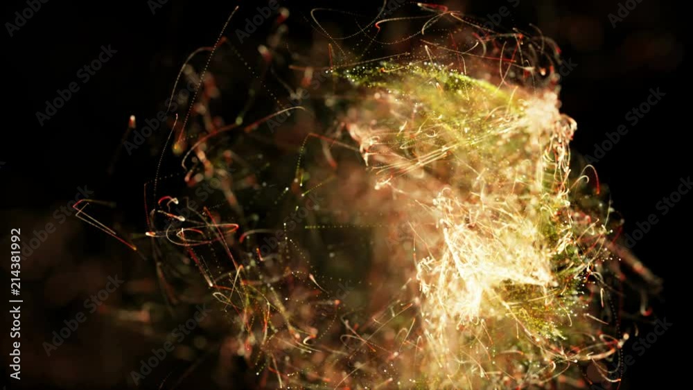 Canvas Prints intro animation. movement of particles, blur effect area. 4k uhd video abstract motion background.