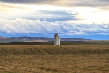 Grain Elevator In Eastern Washington Field