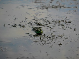 Columbus Ohio and Scioto Park