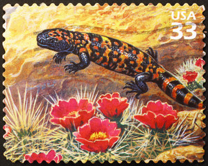 Gila monster on american postage stamp