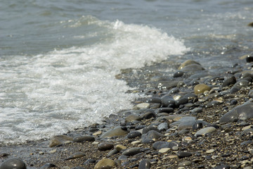 Sea surf on the beach. Wave