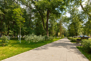 Fototapeta na wymiar paved path in the city Park