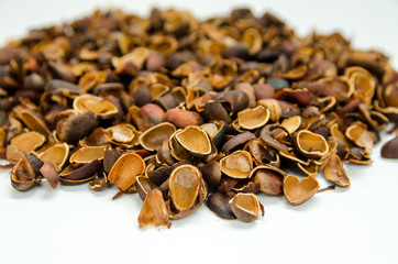 a shell of pine nuts scattered on the table
