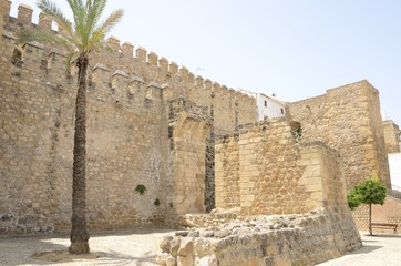 Andalusian historic wall