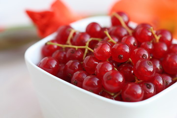 Red currant berry in a white bowl.