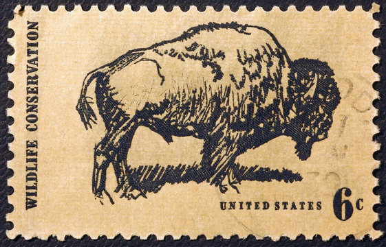 Drawing of american bison on postage stamp