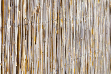 The texture of the dry reeds. A fence made of reeds. The roof is covered with reeds.  Dry grass. Cane