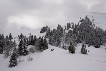Fototapeta na wymiar Hiver et neige, chaine du Jura
