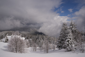 Obraz na płótnie Canvas Hiver et neige, chaine du Jura