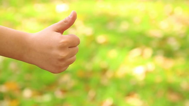 Closeup side view of little cute hand of white child in gesture of likeness. Kid shows thumb up isolated on blurry green grass background with fallen golden autumn leaves.