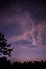 Fototapeta premium Sternenhimmel mit Baum
