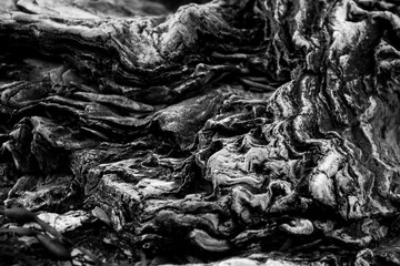 black and white background