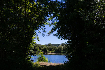 lake in forest