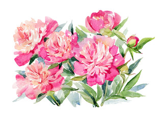 Obrazy  pink peony bouquet