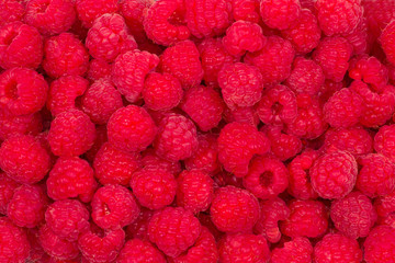 A bright ripe juicy fresh raspberry background.