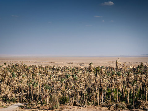 desert landscape view in garmeh oasis southern iran