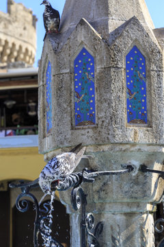 Pigeon drinking water from the fountain in hippocrates square in Rhodes, Greece