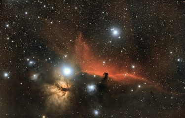 Obraz na płótnie Canvas Horse's Head nebula