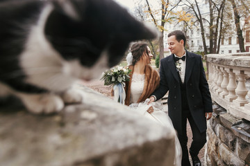 gorgeous bride and stylish groom  walking near cute black and white cat in european city street in autumn. happy wedding couple caress kitty and smiling. happy family moment.