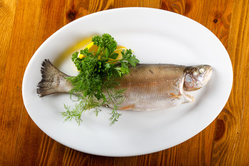 Steamed trout