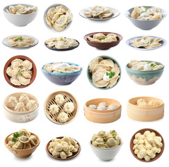 Set with different tasty dumplings on white background