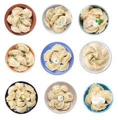 Set of delicious dumplings on white background