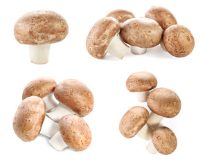 Fototapeta na wymiar Set of raw cremini mushrooms on white background