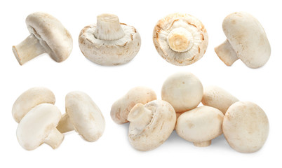 Set of raw champignon mushrooms on white background