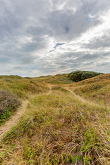 Pathway through Sand Dunes