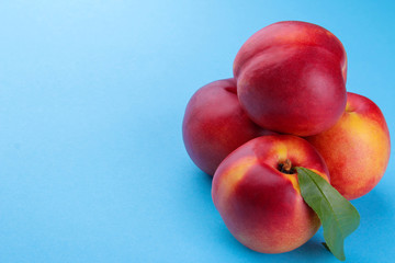 Ripe large nectarines with a green leaf close-up on a bright paper blue background