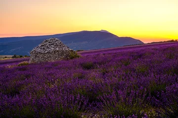  Gezicht op de Mont Ventoux, vanuit het dorp Ferrassières. Lavendelveld en droge stenen hut (borie) in het midden van het veld. Zonsondergang. © Marina