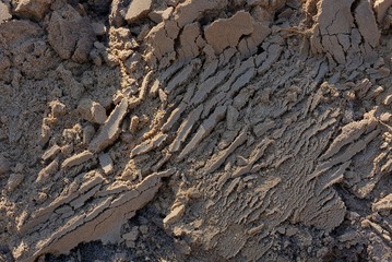 gray brown texture of dry sand on the street