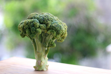 Raw broccoli on a wooden table. Selective focus, beautiful green bokeh.
