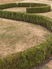 S shaped shrubbery