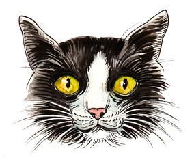 Fototapeta premium Cat's head with a green eyes. Ink and watercolor illustration
