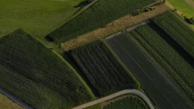 Flug Arial Shot Wipptal Europabruecke Tirol Amazing sunny day upwards