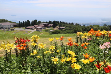 箱館山ゆり園
