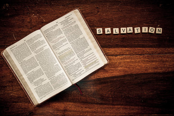 Flat lay of an open Bible and text