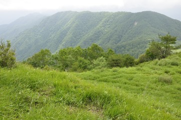 白谷丸の草原と大蔵高丸